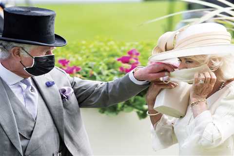 Prince Charles and Camilla show their affectionate side in unusually summery Christmas card