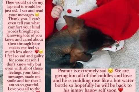 Stacey Solomon says she feels ‘guilty’ after pup Theo died – and her other dog Peanut is heartbroken