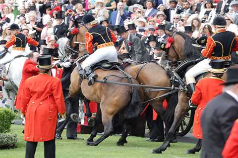 Horse pulling Princess Beatrice’s carriage loses control after being spooked at Royal Ascot