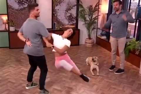 Morning Live viewers horrified as Strictly star kicks a dog in the HEAD live on TV