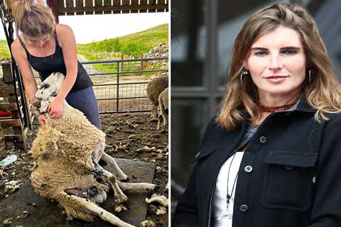 Our Yorkshire Farm’s Amanda Owen gives ‘challenging’ update from Ravenseat after split from husband