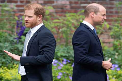 Prince William and Harry BOTH waiting for apologies from each other after ‘painful moments’, close..