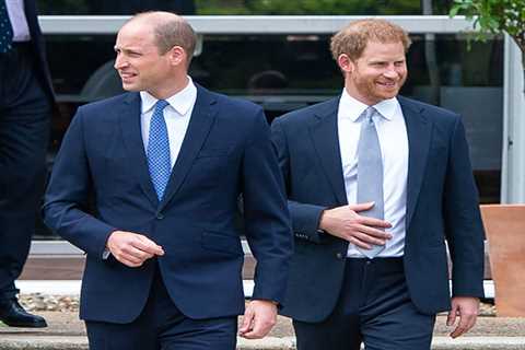 Is there a feud between Prince Harry and William?