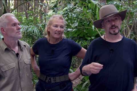 I’m A Celebrity fans have ‘worked out’ why Boy George, Chris Moyles and Sue Cleaver were saved in..