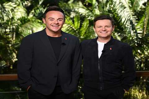 I’m A Celeb’s Ant and Dec makes subtle dig at ‘lazy’ campmates