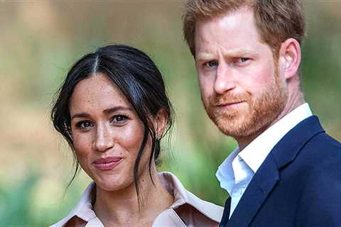 ‘Dutiful, insecure’ Prince Harry and ‘ambitious, self-obsessed’ Meghan Markle are a ‘volatile..