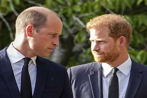 Prince Harry’s war on the Royal Family goes nuclear as he brands William a bully and calls King..