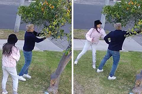 Kato Kaelin Caught Grabbing Oranges from Homeowner's Tree