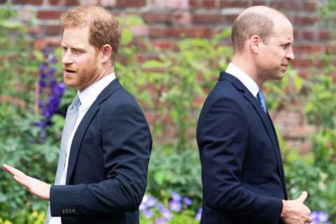 Prince Harry will blast William & moan he was forced to play second fiddle to older brother in..