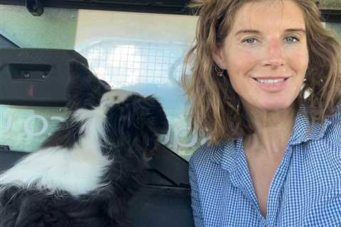 Our Yorkshire Farm’s Amanda Owen hits back at fan ‘assumptions’ in very frank chat about working..