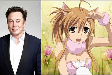 Elon Musk Is Taking Crucial Steps Towards Catgirls