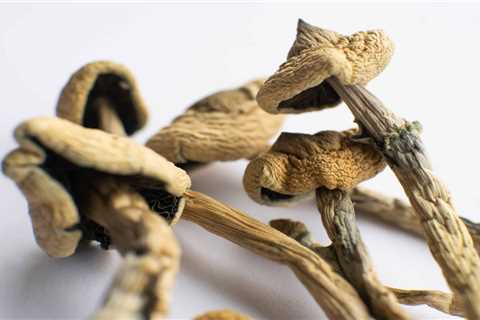 Missouri Legislator Introduces Psilocybin Bill