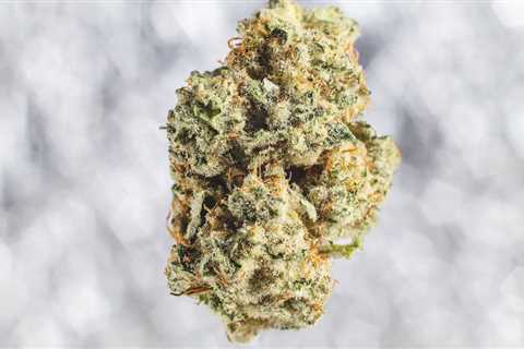 Strain Spotlight: Zoap