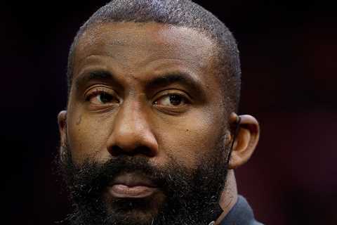 Amar'e Stoudemire Domestic Violence Charges Dropped