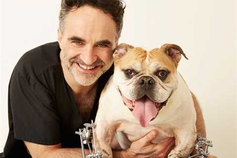 Who is Supervet Noel Fitzpatrick and what is his net worth?