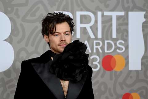 New Zealand Census Officials Say Harry Styles Has To Take The National Survey When He’s There For..