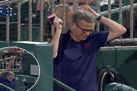 NESN’s Tom Caron nearly attacked by cat during Red Sox game