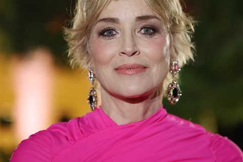 Sharon Stone Was Hospitalized for Heart Issues After Losing Custody of Son