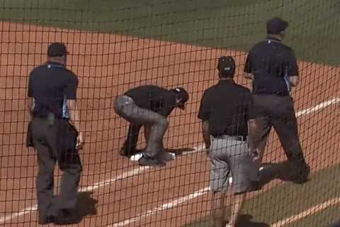 Mississippi State softball coach flips out, throws base after umpire waves off home run