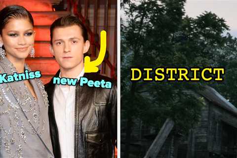 Now That We've All Reentered Our The Hunger Games Phases, It's Time To Find Out Which Panem..