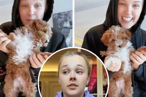 JoJo Siwa Reveals Her Puppy Was Killed in Accident: 'My Heart Hurts'