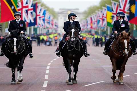 Royal fans all complain as horse poo left on side of the road after huge coronation procession