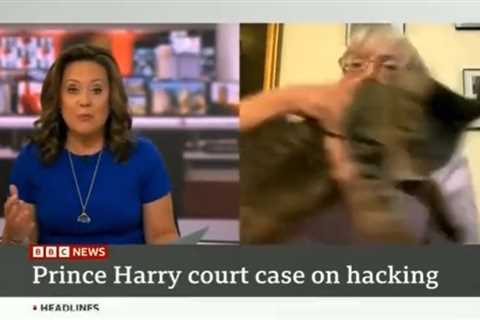 BBC News viewers open-mouthed as guest wrestles with cat in chaotic live interview