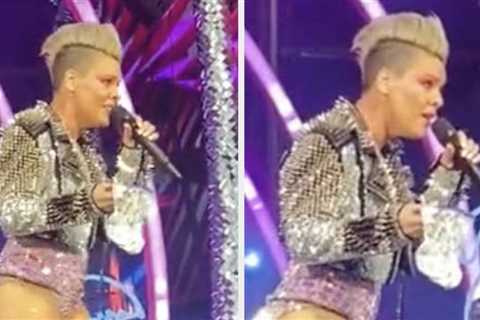 Someone Tossed Their Mom's Ashes At Pink During Her Concert, And She Was Just As Weirded Out As..