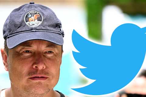 Elon Musk Limiting Tweets Available to See by Unverified Users