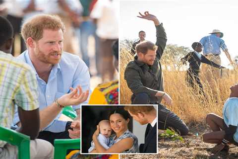 Prince Harry ‘is planning trip to Africa WITHOUT Meghan to film new Netflix doc’, sources claim