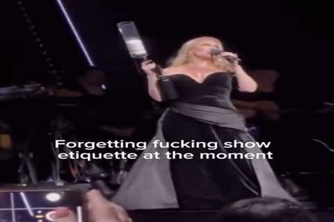 Adele Will Fucking Kill You If You Throw Shit Onstage