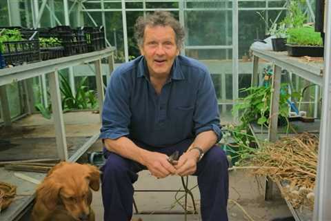 Monty Don leaves Gardeners’ World fans concerned with swollen face in pic from greenhouse