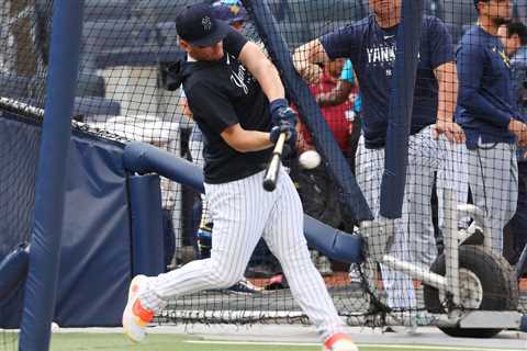 Yankees’ Josh Donaldson takes batting practice in surprising injury development