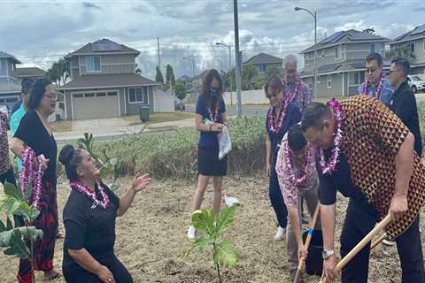 Empowering Filipinos in Hawaii: Cultural Policies and Their Impact