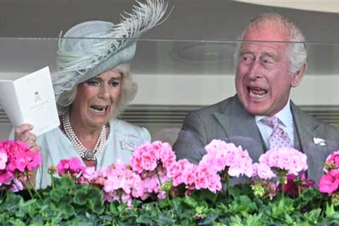 King Charles and Camilla backed for St Leger glory as patriotic punters pile into horse left to him ..