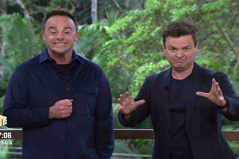 Ant and Dec Mock I'm A Celeb Cast with Swipes at Nigel Farage and Britney Spears' Sister