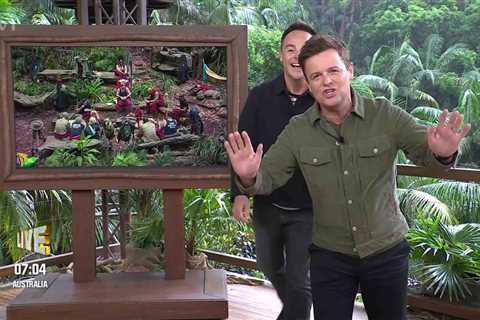 Ant and Dec Respond to Fan Complaints with Cheeky Swipe on I'm A Celeb