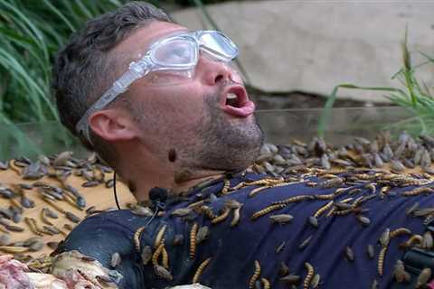 I'm A Celeb Fans Demand Tougher Bushtucker Trials