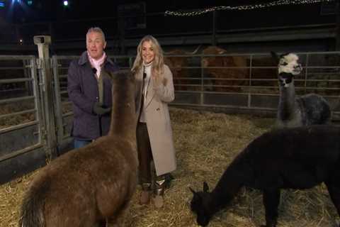 Shocking Interruption on Christmas on the Farm Leaves Helen Skelton Speechless