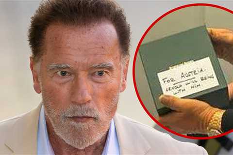 Arnold Schwarzenegger Detained In Munich Over 'Unregistered' Watch, Taken to ATM