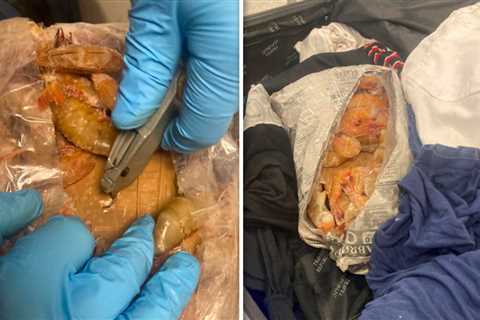 Man Arrested For Allegedly Smuggling Cocaine In Frozen Jumbo Shrimp Bags