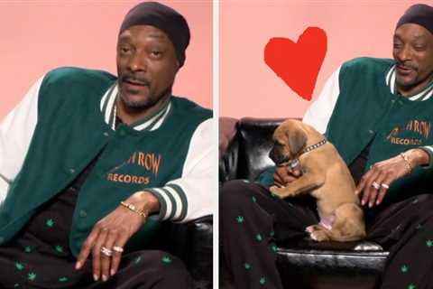 Snoop Dogg Did Our Puppy Interview, And It's Hilarious, Just As I Imagined