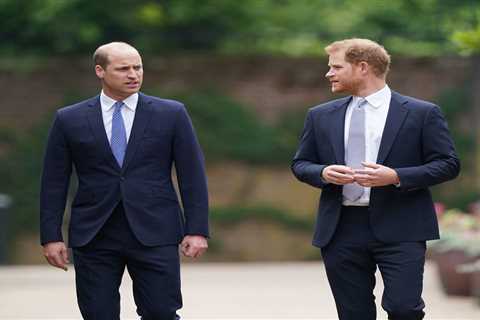 Prince Harry and William's Feud Began Before Meghan, Says Insider as They Reveal Row Which Sparked..