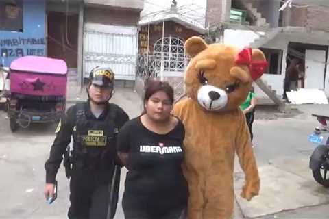 Cop Dresses as Valentine's Day Teddy Bear for Drug Bust in Peru
