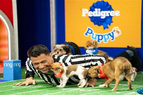 Sweetpea, tiny rescue star of Puppy Bowl 2024, dead at just 5 months old: ‘Lived a charming life’