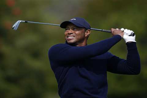 Tiger Woods’  withdrawal from own event is golf great’s latest bizarre episode