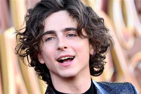 Timothée Chalamet Coordinated His Outfit With Zendaya After Being Roasted For His Last One