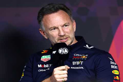 Christian Horner demands that ‘intrusion on family’ stops amid sexting scandal