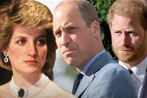 Prince William, Prince Harry Set to Stagger Diana Legacy Event Appearances