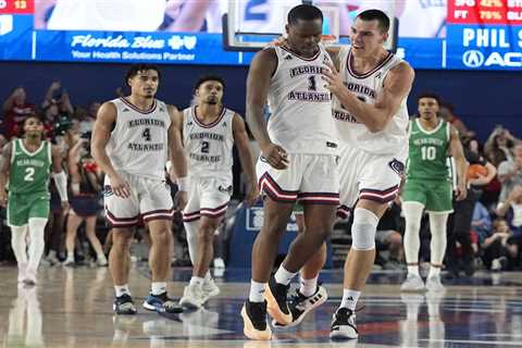 Final Four, Sweet 16 long shots: March Madness odds, picks, predictions